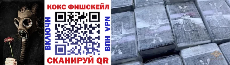 COCAIN Fish Scale  Купить  Карасук 