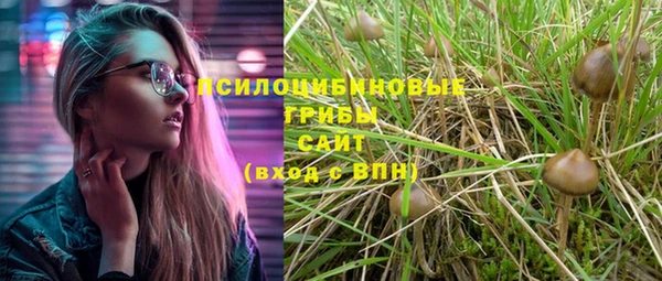 винт Краснослободск