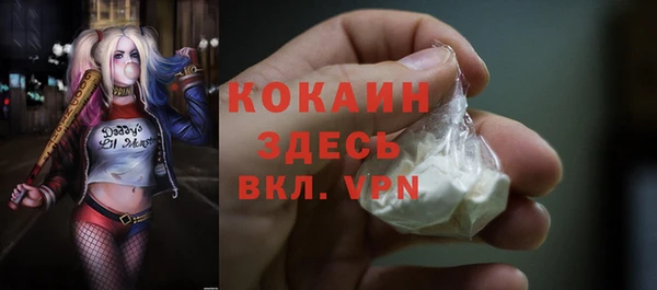 винт Краснослободск