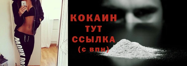 винт Краснослободск