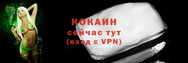 винт Краснослободск