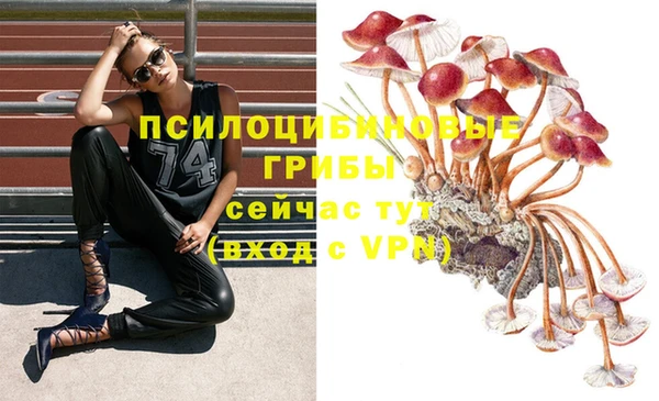 винт Краснослободск