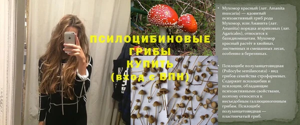 ГАЛЛЮЦИНОГЕННЫЕ ГРИБЫ Красноперекопск