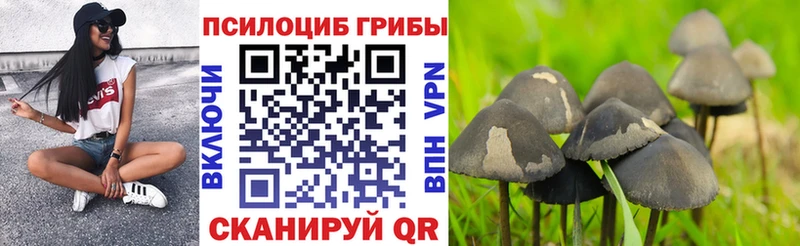 Галлюциногенные грибы GOLDEN TEACHER  Купить  Карасук 